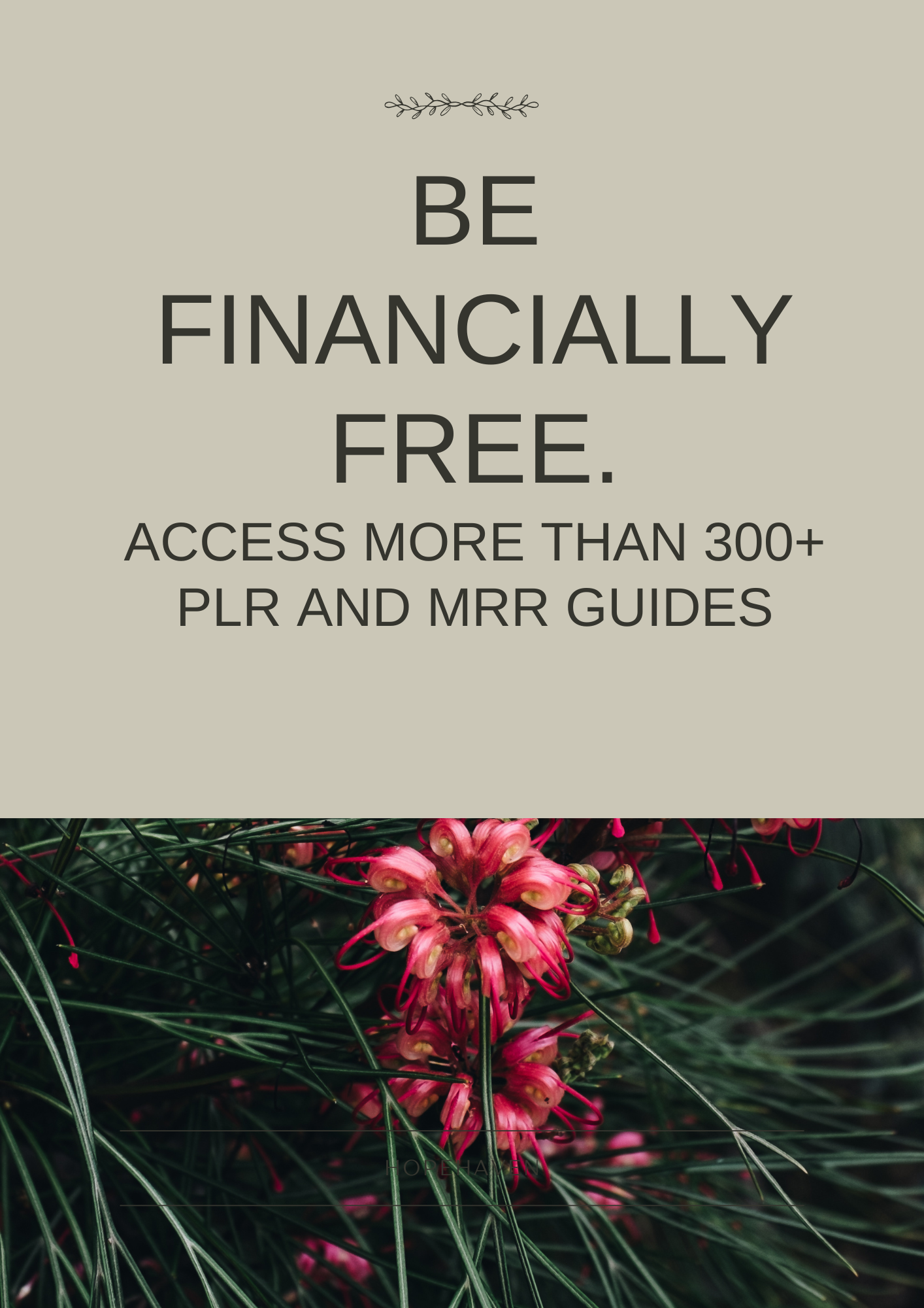 Academy Six + University