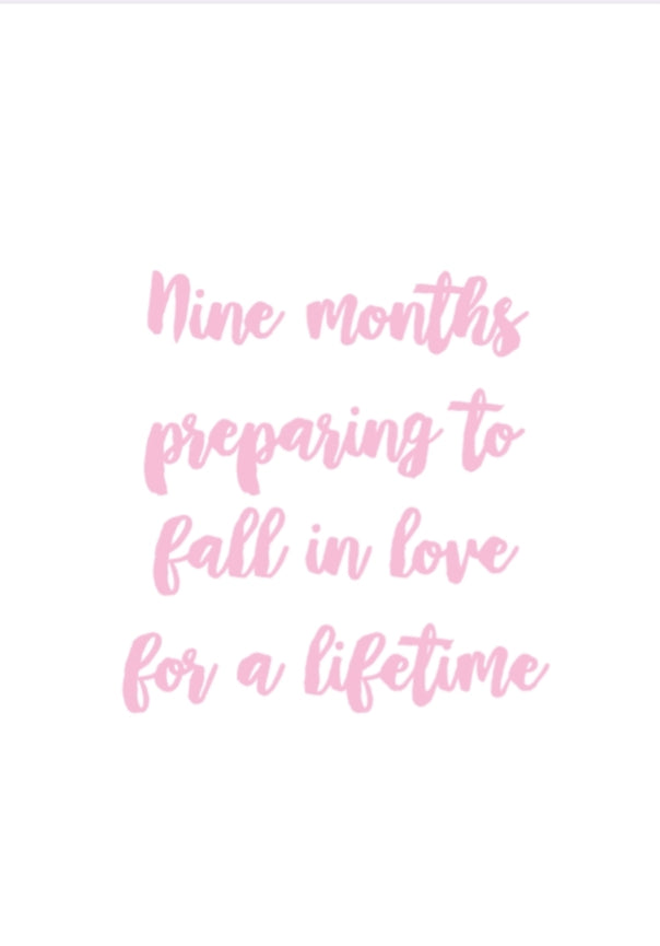 Full pregnancy journal