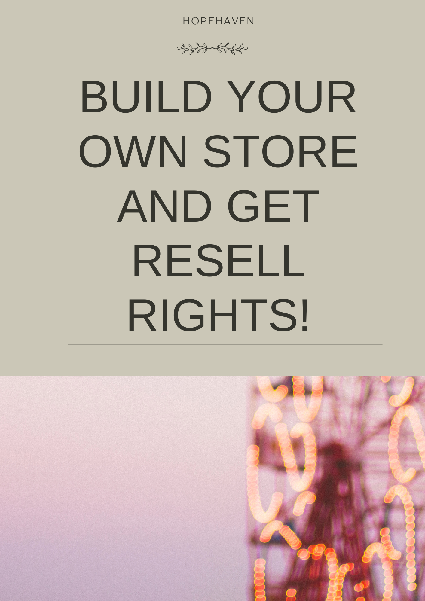 Academy Six + University